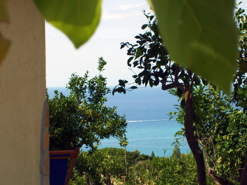 Goddess Yard Villa Tropea Exteriör bild